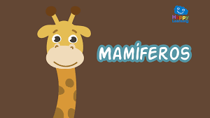 Tenemos aventuras increíbles para ti. Juegos Educativos Para Ninos De 10 A 12 Anos Happy Learning