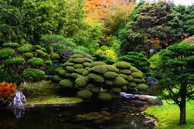Japanese Koi Garden The Japanese Tea Garden In Golden Gate Park The Graceful Gardener Japanese Garden Olive Garden Delivery Most Beautiful Gardens
