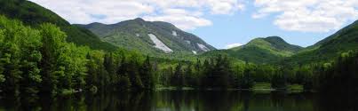 Learn more about lake elizabeth, ca at xome. Adirondack Real Estate Homes Land Vacation Property Southern Adirondack Real Estate From Najer Realty