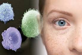 People with cancer in the nasal cavity or paranasal sinuses may have questions about their prognosis and survival. Cancer Symptoms Signs Of Nose Cancer To Watch Out For Express Co Uk