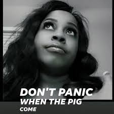 Lashonda Ervin's Instagram, Twitter & Facebook