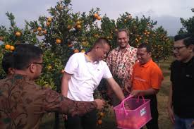 Check spelling or type a new query. Teknologi Bujangseta Tingkatkan Produksi Jeruk Indonesia Antara News