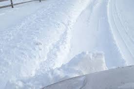 Here's a day in the life of ki. How Not To Be A Snowplow Parent The New York Times