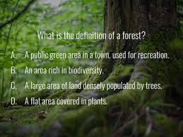 Movies, music, food and drink are all popular choices for … Forest Quiz World Forestry Center