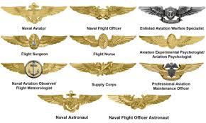 Badges Of The United States Navy Wikipedia