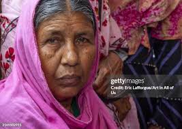 568 Real Tiger Stock Photos, High-Res Pictures, and Images