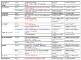 Pin By Alene Vogt Rn Supervisor On Nclex Cranial Nerves Nerve Cranial Nerves Function