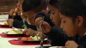 Nicole Ames & Students Build a Biodigestor to Tackle Real-World Challenges  in Peru