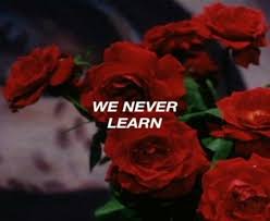 Red Rose Aesthetic Bilder Zitate Tumblr Spruche