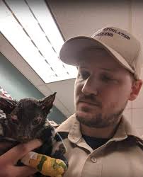 Viral Video of Cat "Rising From the Ashes" After Devastating California  Fire