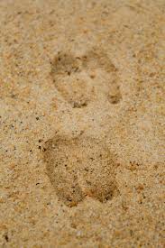 We did not find results for: Deer Tracks Sand Hjort Gratis Foto Pa Pixabay