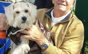 Just like in the case of lung adenocarcinoma, you must provide an accurate medical history of your dogs' bodies might not function exactly like humans' bodies, but unfortunately they can get sick just like humans. Head And Neck Cancer Blogs Cdc