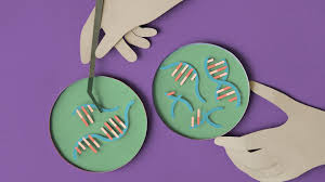Consequences, characteristics, causes and control | tabish s. Is Diabetes Hereditary Facts On Type 1 Type 2 And Gestational Diabetes Everyday Health