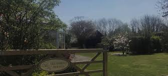 For many of us, pets are important members of our. Treasured Friends Pet Cremation Services In Kent