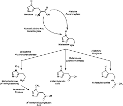 Image result for Scombroid Fish Poisoning