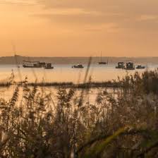Leve De Soleil Sur Le Bassin D Arcachon A Claouey Au Cap Ferret Decouvrez Le Bassin D Arcachon Depuis Le Cap Ferret Ave Bassin D Arcachon Arcachon Cap Ferret