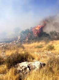 Orman yangını son dakika haberleri ve orman yangını haber ile ilgili video, anlık canlı gelişmeler en son haber'de. Son Dakika Haberleri Gaziantep Te Orman Yangini Son Dakika