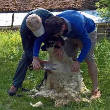 Check spelling or type a new query. Prenez La Cle Des Champs Vins Million Rousseau