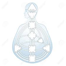 Human Design Bodygraph Chart Design Vector Isolated Illustration