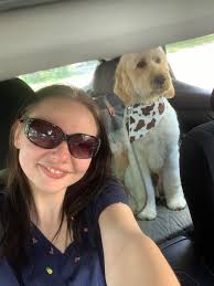 Grooming services for doodles in the area