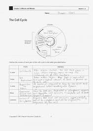 Cells Alive Cell Cycle Worksheet Promotiontablecovers