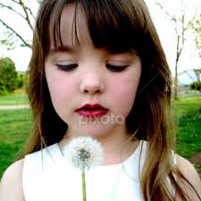 Danielle Michelle Lamb's Profile