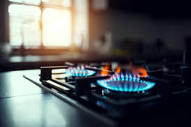 The Great Gas Stove Debate — McGill Journal of Sustainable Development Law