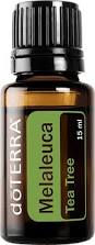 Image result for Melaleuca