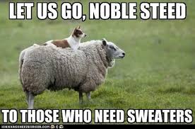 Dental Tourism Low Cost Dental Care Macedonia Dental Co Uk Funny Animals Animals Friendship Animals