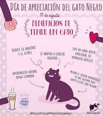 Adrianuzca's CAT CAFÉ - Home | Facebook