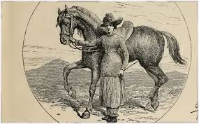 The book was printed, in october, 1879, by the publisher john murray en.wikipedia.org A Lady S Life In The Rocky Mountains