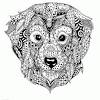 Look and print other animal coloring pages for adults: 1