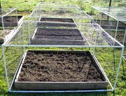 Garden Net Frames Garden Netting Garden Pests Container Gardening