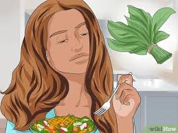 Summer is one of the four earth's seasons, that goes after spring and foreshadows autumn. How To Eat During The Summer Heat 14 Steps With Pictures