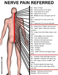 9 Jpg 2100 2700 Spine Health Medical Knowledge Massage Therapy