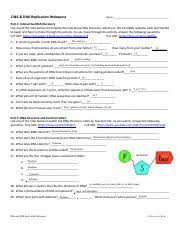 An extraordinary piece of work that will become the standard text in this area. Dna Dna Replication Webquest Student Handout Pdf Dna Dna Replication Webquest Name Part 1 Interactive Dna Discovery Use Any Of The Links Below Course Hero