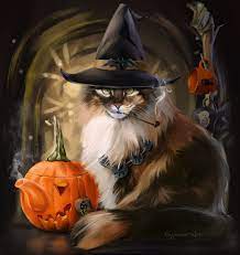 Pinterest Halloween Cat Witch Cat Halloween Pictures