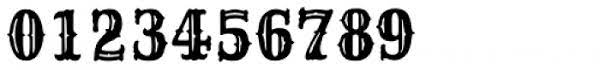 Cactus flower open is also available in the opentype format. Cactus Flower Sg Open Font What Font Is