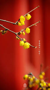 故宫 立春 花 写 ღ mo mar 4 2019 ॐ ڿڰ 真 ฬ china art chinese patterns chinese culture