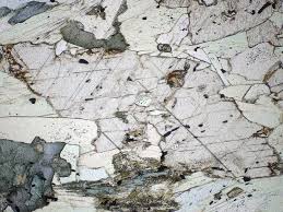 Pin By Bryn Mawr College Mineralogy On Minerals In Thin Section Metamorphic Metamorphic Rocks Minerals