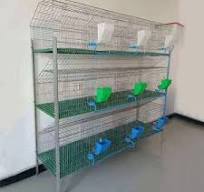Rabbit Cages for Zimbabwe - Durable & Spacious Designs