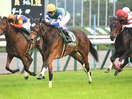 そしてwin5の払戻金が史上 first ride first win comments and race footage will be released tomorrow, the 7th (sun) on the rookies page in the evening! Focnaodqrrfvjm