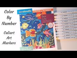 Zendoodle Color By Number Caliart Markers Please Read