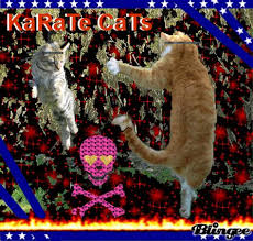 Test times tables, division, shapes, fractions define karate. Clguzh4ewt3dxm