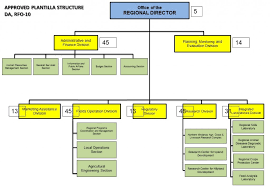 organizational structure da region 10