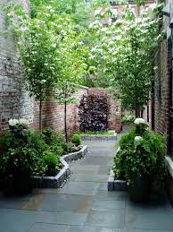 South End Courtyard Garden Courtyard Gardens Design Courtyard Garden Narrow Garden
