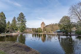 Maybe you would like to learn more about one of these? Exotenwald Weinheim Botanischer Garten