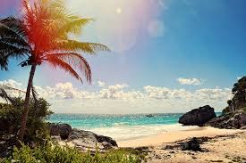 We did not find results for: Security Increased Following Shooting On Cancun Tourist Beach Travel Agent Central