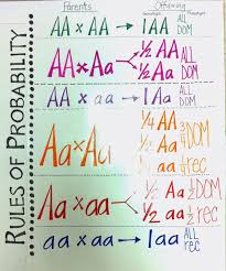 Classroom Posters Teaching Science High School Biology Lessons Teaching Science