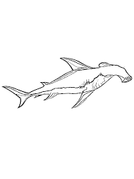 You can print or color them online at. Hammerhead Shark Coloring Page 1001coloring Com